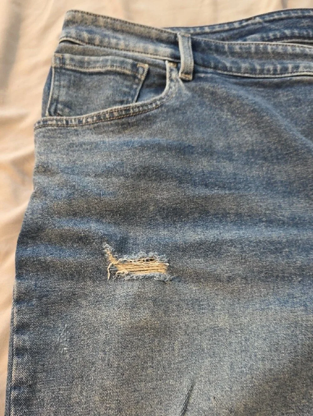 Lane Bryant Light Blue Distressed Denim Shorts